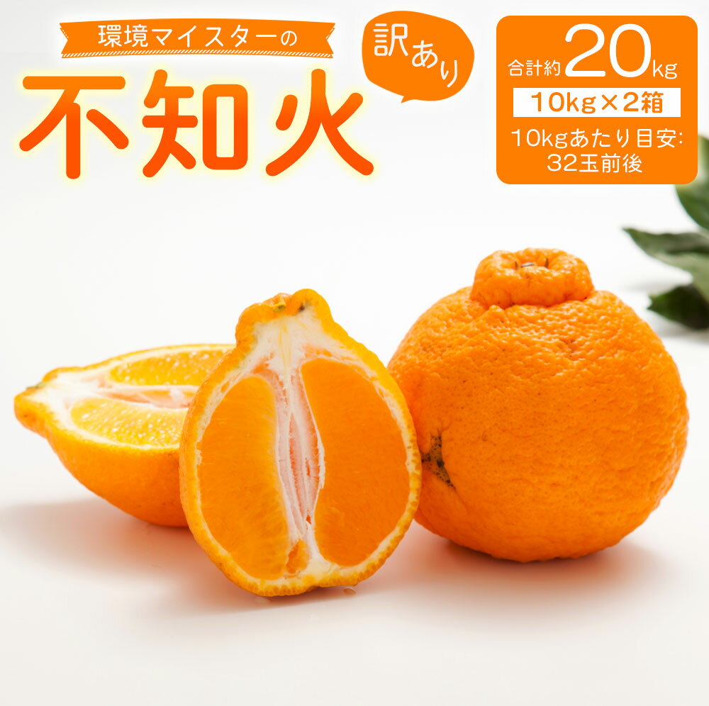 【ふるさと納税】環境マイスターの不知火 訳あり 合計約20kg 約10kg×2箱 32玉前後目安 （栽培期間中は無肥料・低農薬） 不知火 みかん 蜜柑 ミカン 柑橘 フルーツ 果物 国産 九州産 熊本県産 送料無料【2026年2月上旬‐5月上旬迄順次発送予定】