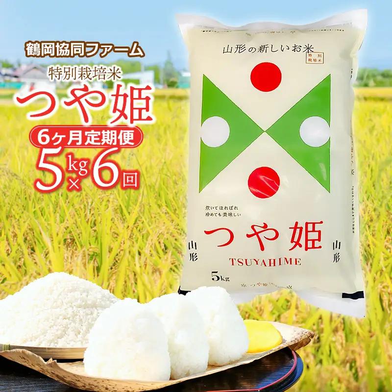 【令和8年産 新米】 特別栽培米 つや姫 5kg (5kg×1袋)×6ヶ月【定期便】　鶴岡協同ファーム 
