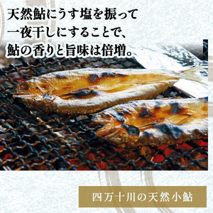 頭からガブッと！四万十川の天然小鮎 一夜干し（5枚セット） Esg-A25 あゆ アユ 鮎 魚 魚介 川魚 塩焼き 干物 ひもの 海鮮