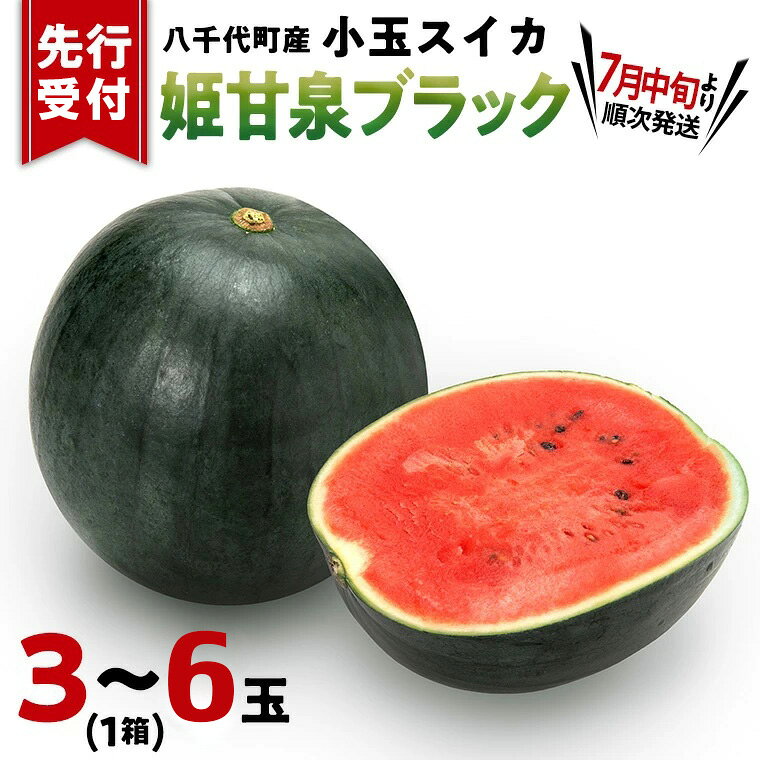 【ふるさと納税】【先行予約 2027年7月中旬以降発送開始 】令和9年産 小玉スイカ 姫甘泉ブラック 1箱（3～6玉入り）八千代町産 黒皮 すいか スイカ 西瓜 小玉 果物 フルーツ お取り寄せ 産地直送 茨城県 2027 2027年発送 2027年先行受付 2027年