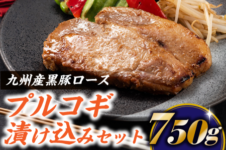 AA478.九州産黒豚ロースプルコギ漬け込みセット（750g）