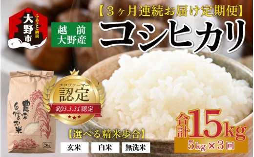 【先行予約】【令和8年産 新米】【3ヶ月定期便】越前大野産 エコファーマー認定農家栽培こしひかり 玄米 5kg × 3回 計15kg【2026年10月より順次発送】