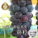 【ふるさと納税】【2025年 先行予約】日本一の産地山梨県産 朝採れ 藤稔 約1.0kg以上 (2〜3房）｜ 産地直送 新鮮 やまなし 山梨 送料無料 黒ぶどう