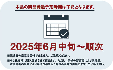 【2025年 先行予約 】 桃 もも 朝もぎ直送！『 桃 白鳳系』 5～8玉 約2kg規格箱入り 【高機能共選機使用】選び抜かれた桃 / 山梨県産 モモ 白鳳 フルーツ 果物 くだもの 人気 産地直送