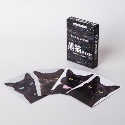 ふるさと納税 中野区 難易度MAXのツンデレ仕様!黒猫あわせ |  | 01
