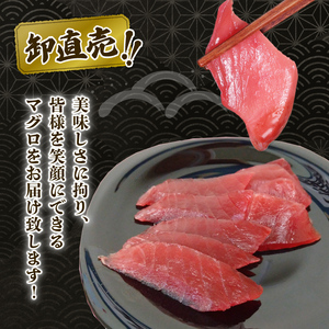 天然 マグロ 赤身 約 280g 以上 鮪 刺身 漬け 丼 魚 静岡県 藤枝市