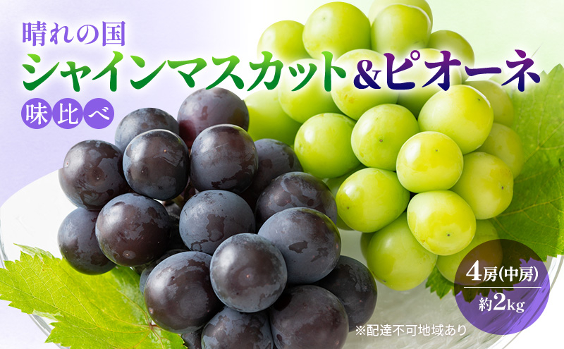
            [№5615-0574]早期受付 ぶどう 晴れの国 シャインマスカット&ピオーネ 味比べ 4房（中房）化粧箱入り 岡山県 高梁市 ブドウ 葡萄 果物 フルーツ 
          