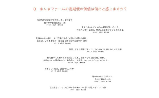 010-095　まんま野菜の宝箱セット S