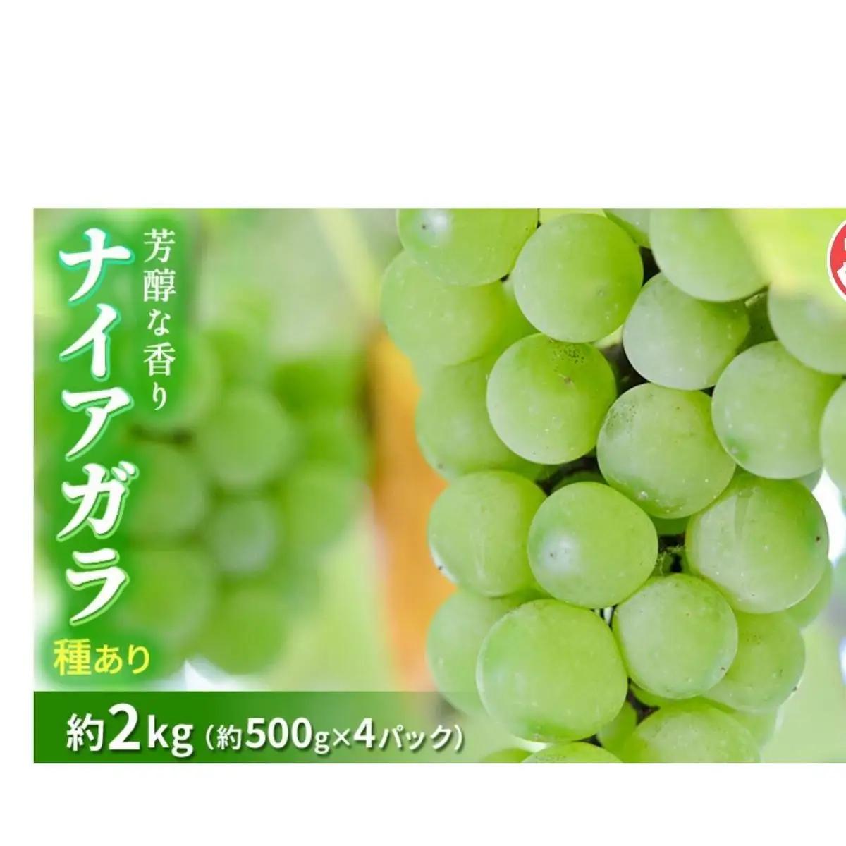 ぶどう 種ありナイアガラ 2kg ぶどう