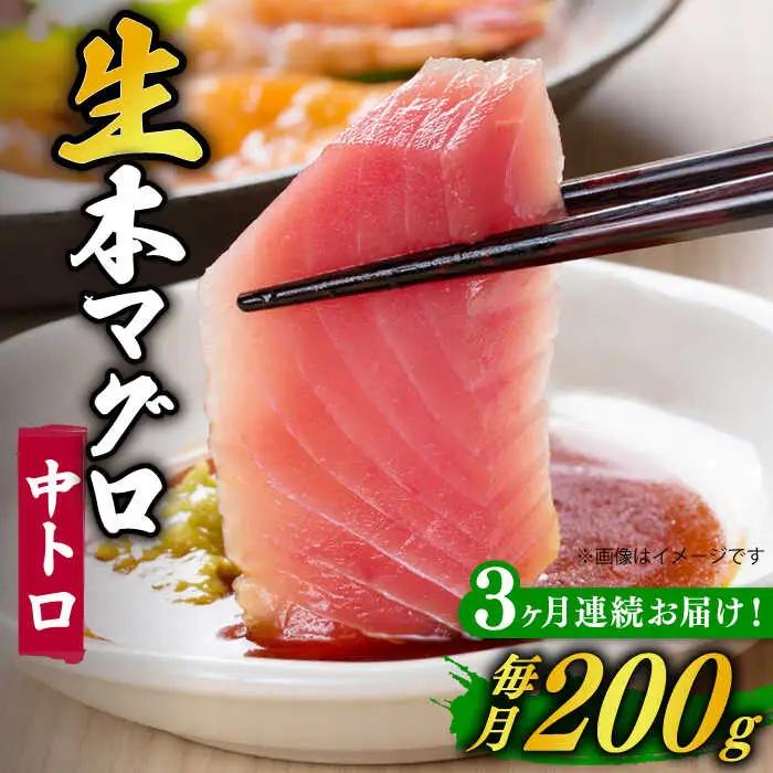 【全3回定期便】五島列島産養殖生本かみマグロ 中トロ 200g [RBP026] 本マグロ 本まぐろ 本鮪 本マグロ 本まぐろ 本鮪 本マグロ 本まぐろ 本鮪 本マグロ 本まぐろ 本鮪九州 長崎
