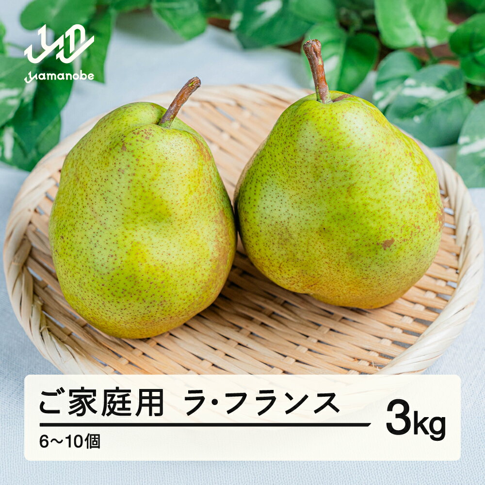 【ふるさと納税】 先行予約 2025年 山形県産 ご家庭用 ラ・フランス 3kg（6~10個） 2025年10月下旬頃から順次発送 送料無料 ※沖縄・離島への配送不可 tj-lakxx3