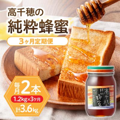 ふるさと納税 高千穂町  【3ヶ月定期便】日本みつばち 高千穂の純粋蜂蜜 600g×2本 セット