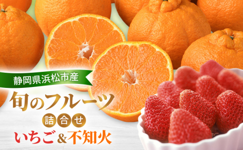 【2027年2月発送】 旬のフルーツ詰合せ いちご＆不知火 紅ほっぺまたはきらぴ香 約260g1パック 不知火4個約800g しらぬい デコ 苺 ミカン 【配送不可：離島】 フルーツセット 静岡 浜松市
