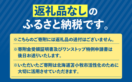 北海道 苫小牧市 応援寄附金 （ 返礼品なし ） 1,000円 T000-001-01 寄附 寄付 寄附金 寄付金 応援寄付金 雇用環境の整備 子育て環境の整備 移住促進 住みやすい環境の整備 ふるさ