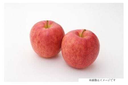 【期間限定発送】 りんご 高畠町産 涼香の季節 14～18玉 5kg [JA山形おきたま 山形県 高畠町 tk06ays870045] 果物 くだもの フルーツ 林檎 リンゴ 産地直送