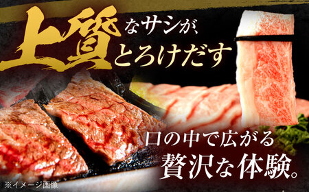 長崎和牛 バラカルビ 焼肉用 600g / 牛肉 ぎゅうにく 肉 和牛 国産牛 焼き肉 やきにく&nbsp;/ 諫早市 / 西日本フード株式会社[AHAV007]