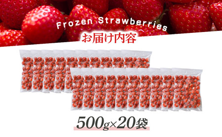 冷凍いちご(さぬきひめ)500g×20袋