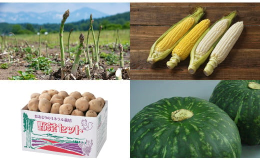 ≪令和７年産予約受付！≫おおとり　野菜の定期便（４回）グリーンアスパラ（ラスノーブル）1.5kg とうもろこし（黄・白）計１２本 男爵＆きたあかり 男爵Ｌサイズ5㎏・北あかり2Ｌ～Ｍサイズ5㎏冬至用南瓜5kg（２～３玉）アスパラ あすぱら とうもろこし とうきび じゃがいも 芋 イモ いも カボチャ 南瓜 旬 旬の野菜 定期配送[053-06]