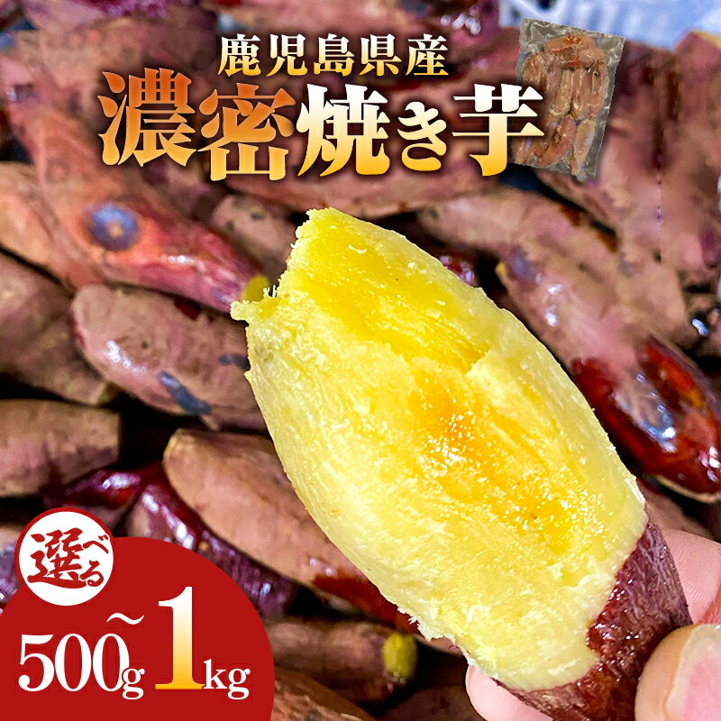 【ふるさと納税】＜選べる＞ 濃密 鹿児島県産 焼き芋 500g or 1kg 訳あり 規格外 焼芋 芋 さつまいも 紅はるか 干し芋好きに 野菜 おやつ 甘い お子様 子供 熟成 人気 蜜芋 憲 鹿児島 鹿屋市 おすすめ ランキング プレゼント ギフト