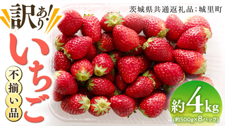 【訳あり】いちご 4kg【1月から発送開始】 （茨城県共通返礼品 [いちご]：城里町産）  フルーツ 果物