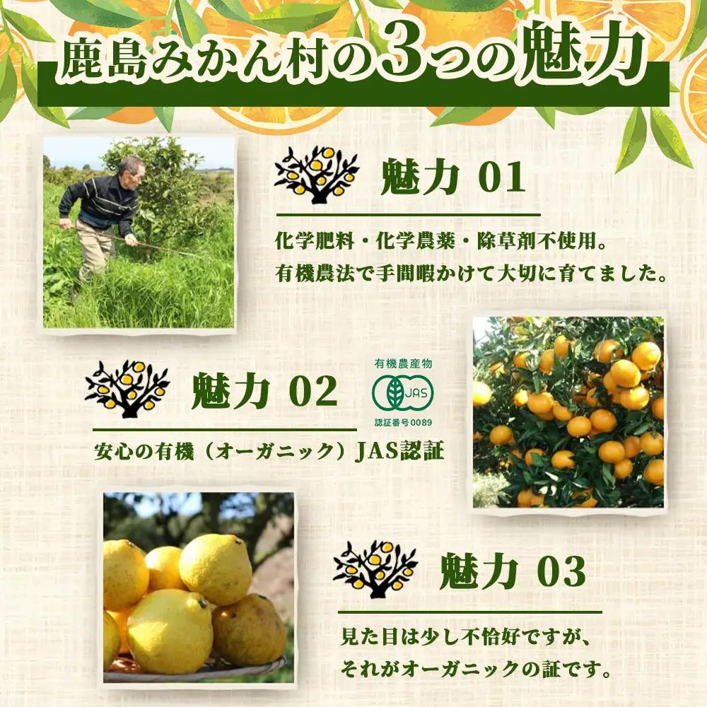 【先行受付】 オーガニック みかん 約5kg ＼有機柑橘栽培・出荷量日本一／有機栽培 佐賀県産 鹿島産 国産 B-70