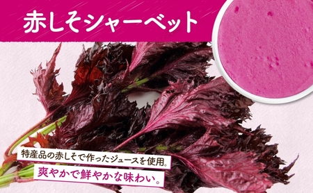 北海道 まきばのジェラート しそシャーベット 130ml×6個 ジェラート 赤しそ シソ シャーベット スイーツ デザート 氷菓 人気 お取り寄せ グルメ ギフト 保存料不使用 地産地消 牧場 自家製