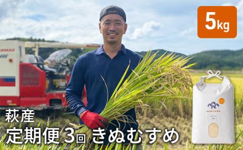 定期便 3か月 きぬむすめ 令和6年 5kg  米 コメ こめ 萩産 KAMITAMA