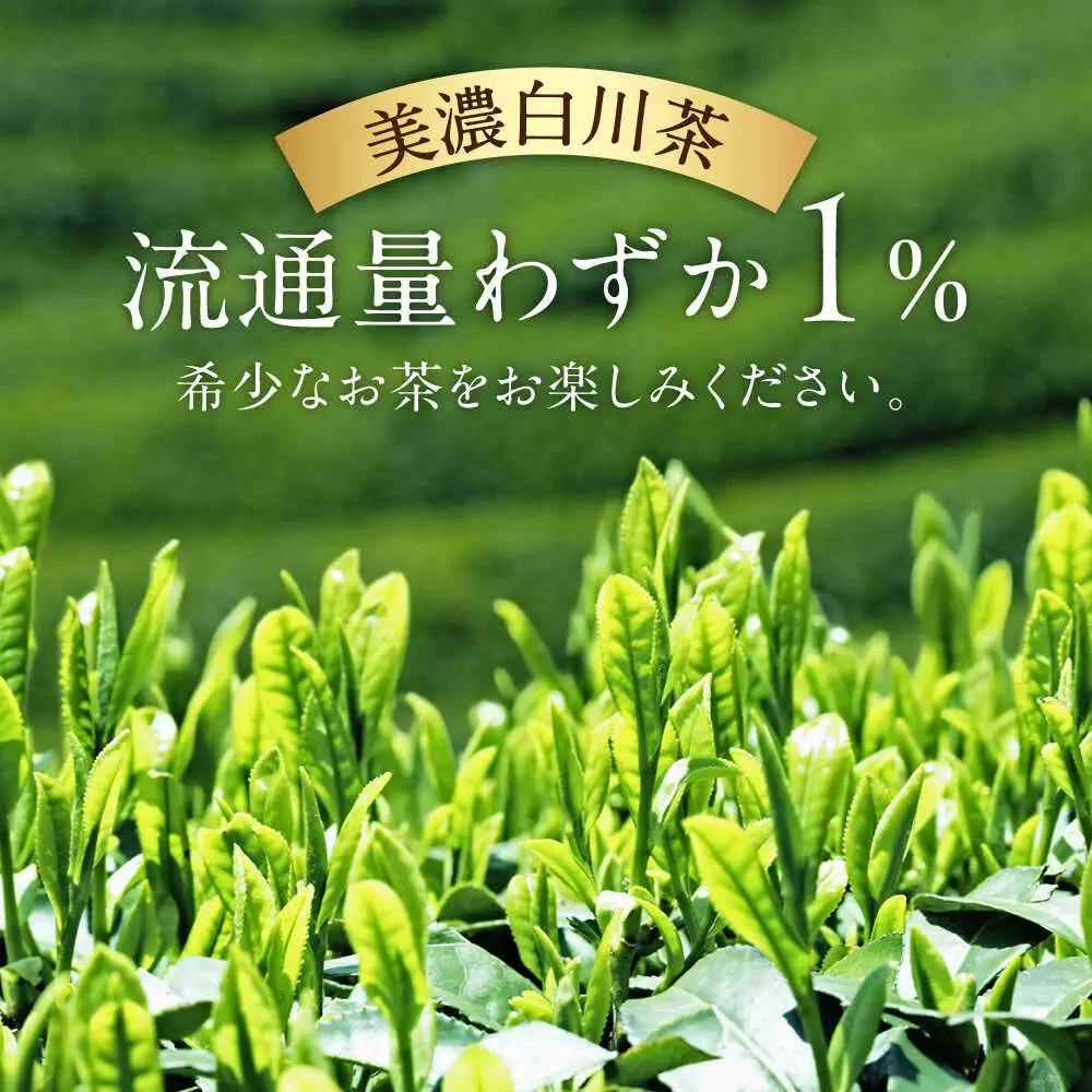 【3回定期便】緑茶ペットボトル 500ml×24本入 / 白川園本舗[AWAT006]お茶緑茶