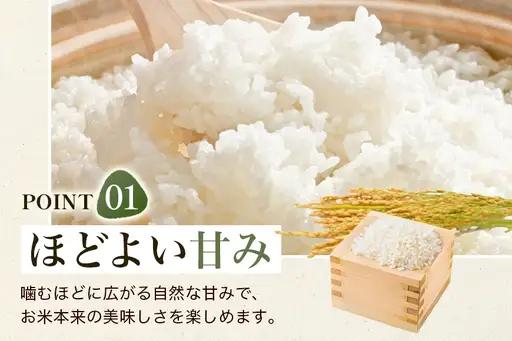 【3回定期便】【ふるさと納税】ひのひかり 米 お米 玄米 20kg 20キロ 福岡県産 うきは市 国産 精米 ご飯 ごはん おにぎり お弁当 人気 おすすめ 家庭用 送料無料 新米 ストック 厳選 農