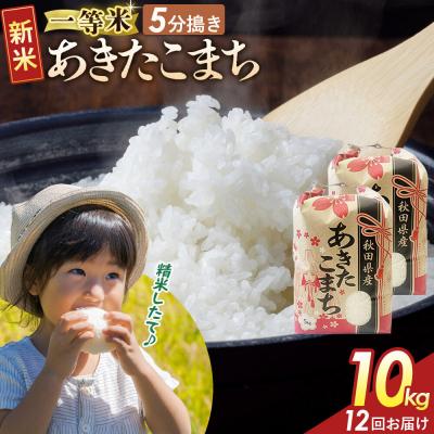 ふるさと納税 大仙市 定期12ヶ月 5分搗き あきたこまち 一等米 10kg 秋田県 R8年|22_kml-051012s | 