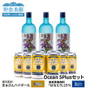 【ふるさと納税】蔵元直送 Ocean 5Plus セット 【 まぁさん ハイボール 8% 350ml × 6本 】＆【 奄美黒糖焼酎 はなとり 25度 720ml × 3本 】 酒 アルコール 黒糖 焼酎 蔵元 炭酸 強炭酸 新感覚 家飲み 宅飲み パーティ おすすめ お取り寄せ 送料無料