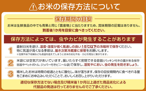 【令和7年産】【高級】南魚沼塩沢産こしひかり5kg×2袋(無洗米)