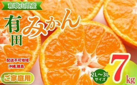 【先行予約】【ご家庭用】和歌山有田みかん約7kg(2L、3Lサイズ)