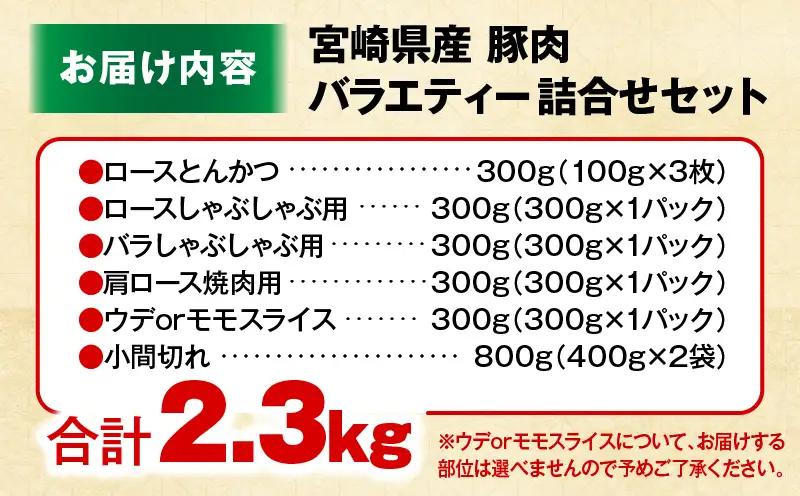 豚肉バラエティー詰合せセット【2.3kg】2026年7月発送予定_b1031_my_jul