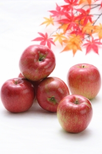 甘味たっぷり！【南信州産】シナノスイート 約5kg 10～18玉