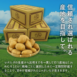 レビューキャンペーン実施中！【先行受付】【2026年4月出荷分】十勝めむろ産 越冬 マチルダ Ｌサイズ5kg 北海道産 国産 冷蔵 じゃがいも ジャガイモ 芋 いも イモ ポテト 5キロ L 野菜 肉