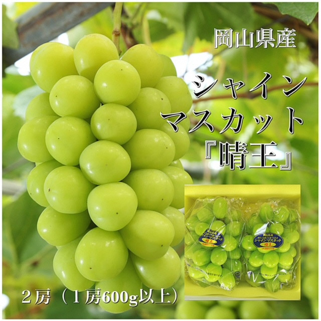 
ZZ-18　【令和7年発送・先行予約】岡山県産　シャインマスカット（1房600g以上・晴王）2房　化粧箱入り
