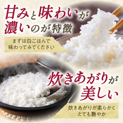 ふるさと納税 清水町 精米したての新鮮な味わい!北海道産 ゆめぴりか 10kg |  | 02