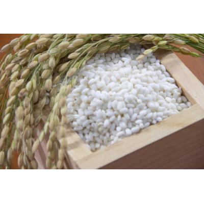 ふるさと納税 綾部市 【毎月定期便】京都府産コシヒカリ 聖米(白米)5kg 全6回 |  | 01