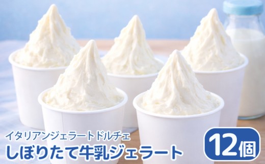 ジェラート イタリアンジェラート しぼりたて牛乳 12個 × 120ml アイスクリーム アイス シャーベット デザート スイーツ お菓子 洋菓子 おやつ 牛乳 ミルク ギフト プレゼント 贈答 お取り寄せ グルメ 冷凍 徳島県 阿波市 イタリアンジェラートドルチェ