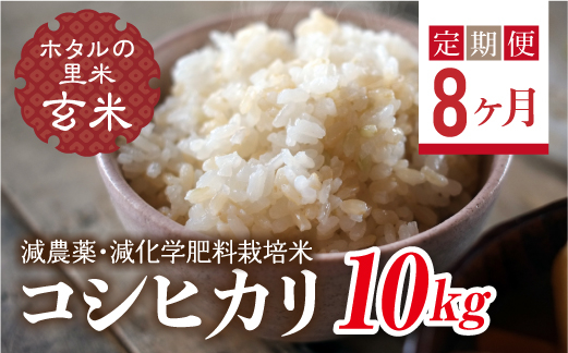 
                   ＜定期便8ヶ月＞ 令和8年産米【ホタルの里米】環境に配慮し農薬を減らした栽培米 コシヒカリ玄米10kg  F4D-2310
                