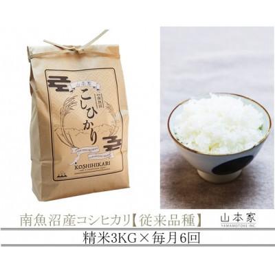 ふるさと納税 南魚沼市 【発送月固定定期便】南魚沼産コシヒカリ山本家精米3kg【従来品種】全6回