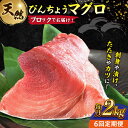 【ふるさと納税】【全6回定期便】天然 まぐろ 冷凍ぶっこみブロック約2kg 鮪 マグロ 刺身 冷凍 横須賀【本まぐろ直売所】[AKAK024]