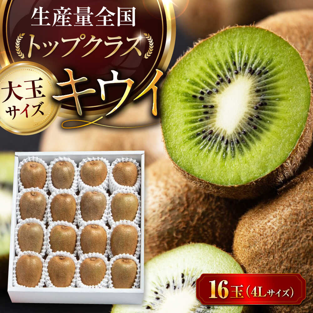 【ふるさと納税】キウイ【先行予約】【2026年2月中旬から順次発送】 キウイ フルーツ 大玉 16 玉 （ 赤秀 4L サイズ ） 大洲市/愛媛たいき農業協同組合[AGAO002] キウイ 果物 くだもの フルーツ 愛媛県産 大洲市産 産地直送 おすすめ 人気 お取り寄せ 送料無料 贈答 ギフト