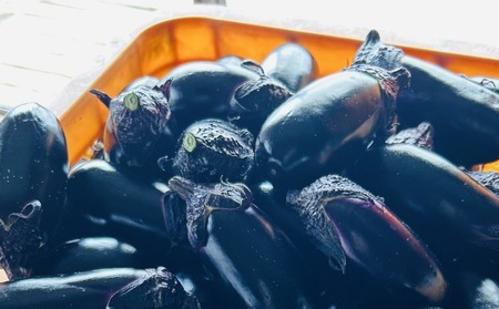 揚げナス 600ｇ【乱切り】海洋深層水仕込みのナス使用 カット済 揚げなす 野菜