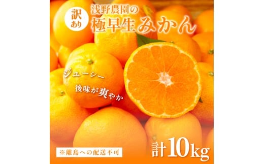 【先行予約】浅野農園の極早生みかん 訳あり10kg ※着日指定不可 ※離島への配送不可（2025年10月上旬～11月中旬頃に順次発送） 【 ふるさと納税 人気 おすすめ ランキング みかん 柑橘 ミカン 蜜柑 mikan 果物 フルーツ オレンジ 訳あり 10kg  早生 愛媛県 伊方町 送料無料 】 IKTAC001