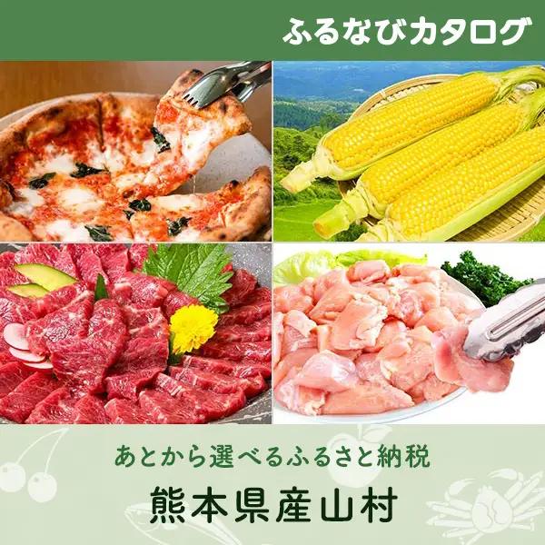 【有効期限なし！後からゆっくり特産品を選べる】熊本県産山村カタログポイント
