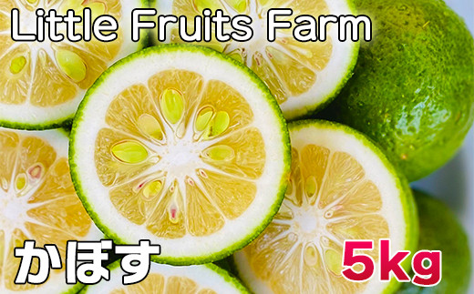 
                  香り抜群!果汁たっぷり!リトルフルーツファームのかぼす 約5kg ／ 柑橘類 果物 フルーツ 9月 10月 11月 12月 ＜116-002＞
                