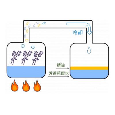 ふるさと納税 久喜市 久喜市菖蒲産ラベンダー精油(エッセンシャルオイル)3ml　3本セット |  | 03