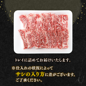 知多牛響 焼肉用 カルビ 500g (250g×2) 知多牛 有限会社寿屋精肉店